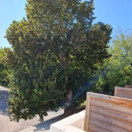 Hotel Du Pont Et Restaurant A Groléjac