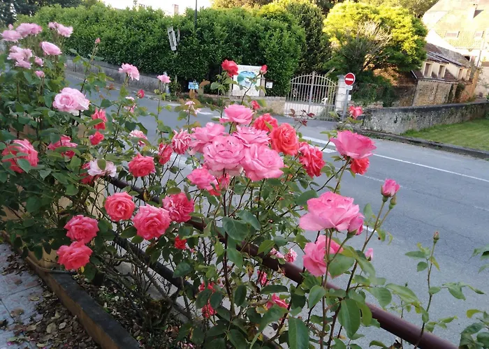 Hotel Du Pont Et Restaurant A